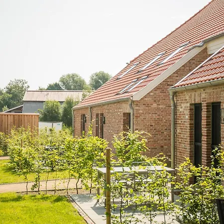 Senden 12 Luzie Krummhörn